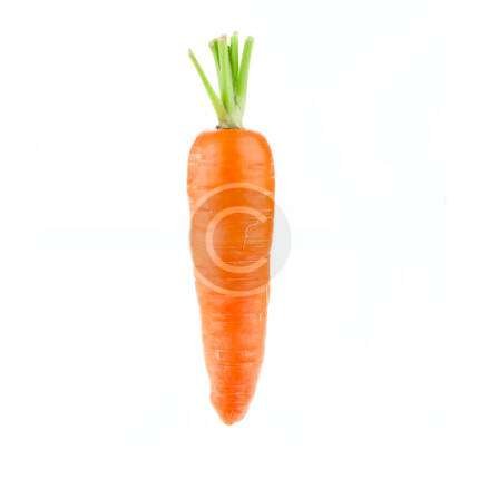 Carrot